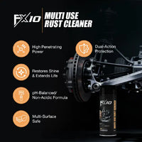 Nippon Paint FX10 Multi-Use Rust Remover 500 ml