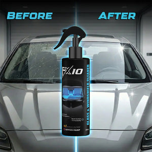 Nippon Paint FX10 Glass & Windshield Cleaner 250 ml